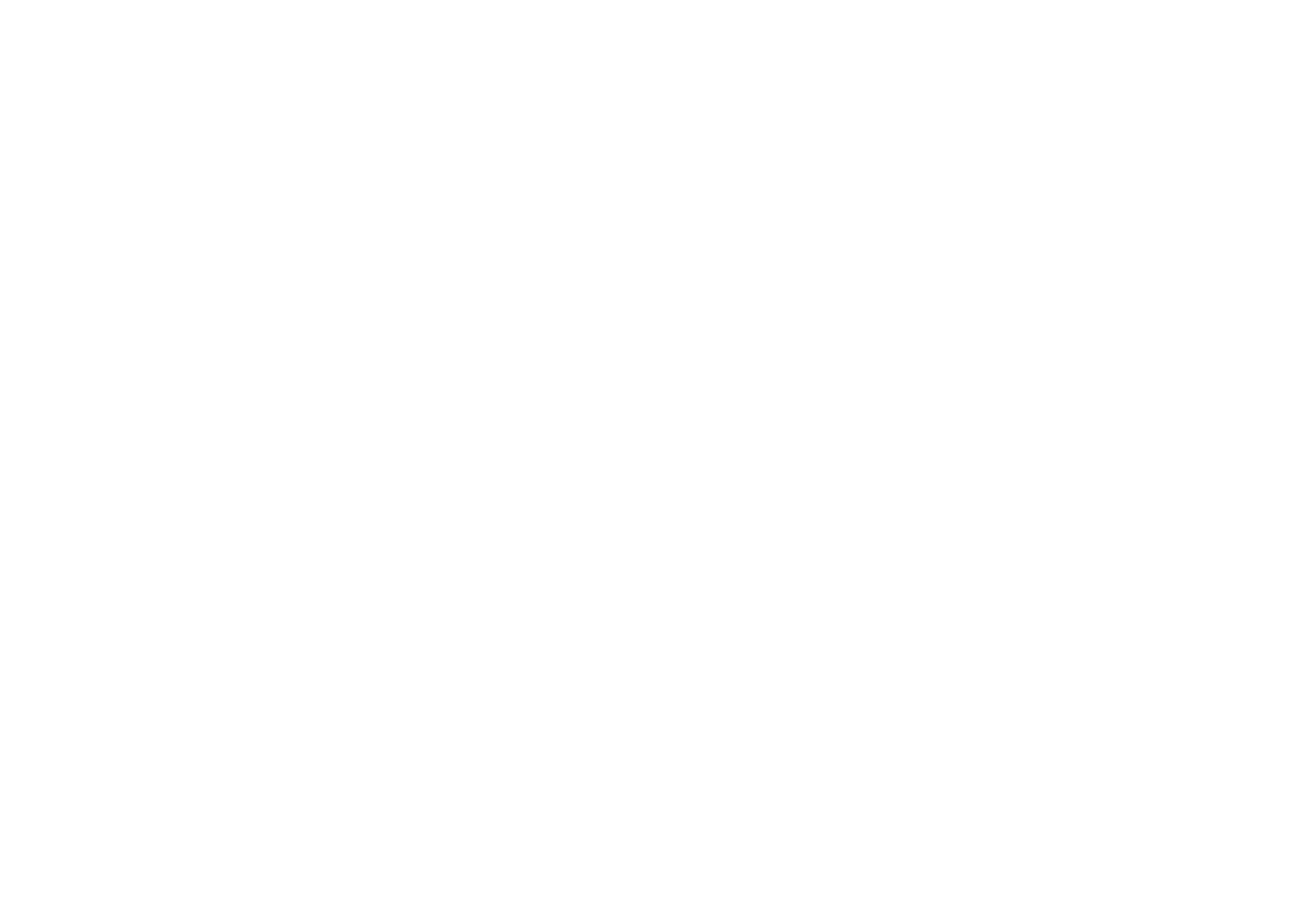 Indian Carpet Project